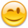 Emotions smile icon emoticon blink 2980
